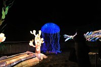 Bild: Peter Blei in den magischen Lichterwelten