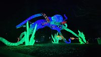 Bild: Peter Blei in den magischen Lichterwelten