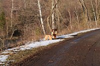 Bild: Peter Blei unterwegs an der Hasselvorsperre