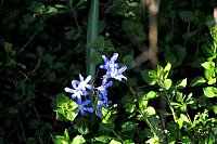 Bild: Osterspaziergang im Vorharz