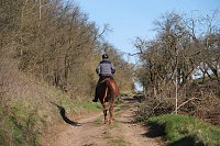 Bild: Osterspaziergang im Vorharz