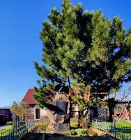 Bild: Osterspaziergang im Vorharz