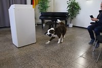 Bild: Besuch bei der Nordh&auml;user Hundestaffel