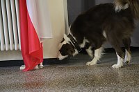 Bild: Besuch bei der Nordh&auml;user Hundestaffel