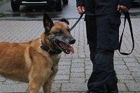 Bild: Besuch bei der Nordh&auml;user Hundestaffel