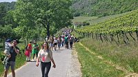 Bild: Unterwegs auf der Saale-Weinmeile