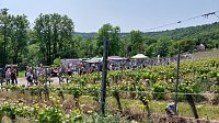 Bild: Unterwegs auf der Saale-Weinmeile
