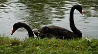 Bild: Stippvisite bei der Landesgartenschau in Bad Gandersheim