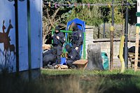 Bild: Polizeieinsatz am Hufhaus