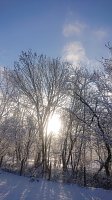 Magie der Wintersonne Bild: Magie der Wintersonne