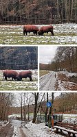 Collage: Auf einer Wanderung am 2. Advent Bild: Collage: Auf einer Wanderung am 2. Advent