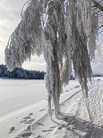 Wintertraum im Thüringer Wald, nahe Oberwirbach Bild: Wintertraum im Thüringer Wald, nahe Oberwirbach