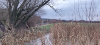 Bild: Spaziergang entlang der Unstrut aus Richtung Gorsleben in Richtung Sachsenburg