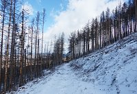 Bild: 2. Foto Wanderung im Harz