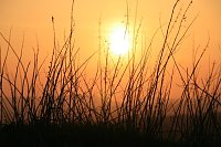 Sonnenuntergang - fotografiert vom Hainer Berg Bild: Sonnenuntergang - fotografiert vom Hainer Berg