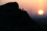 Sonnenuntergang - fotografiert vom Hainer Berg Bild: Sonnenuntergang - fotografiert vom Hainer Berg
