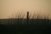 Sonnenuntergang - fotografiert vom Hainer Berg Bild: Sonnenuntergang - fotografiert vom Hainer Berg