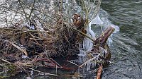 Bild: Winter an der Zorge