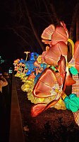 Bild: Peter Blei unterwegs in magischen Lichterwelten