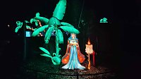 Bild: Peter Blei unterwegs in magischen Lichterwelten
