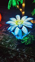 Bild: Peter Blei unterwegs in magischen Lichterwelten