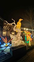 Bild: Peter Blei unterwegs in magischen Lichterwelten