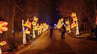 Bild: Peter Blei unterwegs in magischen Lichterwelten