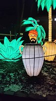 Bild: Peter Blei unterwegs in magischen Lichterwelten