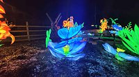 Bild: Peter Blei unterwegs in magischen Lichterwelten