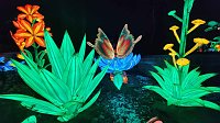 Bild: Peter Blei unterwegs in magischen Lichterwelten