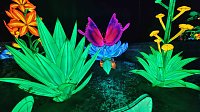 Bild: Peter Blei unterwegs in magischen Lichterwelten