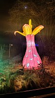 Bild: Peter Blei unterwegs in magischen Lichterwelten