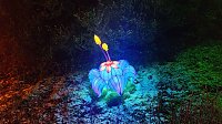 Bild: Peter Blei unterwegs in magischen Lichterwelten