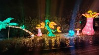Bild: Peter Blei unterwegs in magischen Lichterwelten