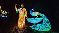 Bild: Peter Blei unterwegs in magischen Lichterwelten