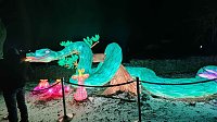 Bild: Peter Blei unterwegs in magischen Lichterwelten