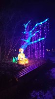 Bild: Peter Blei unterwegs in magischen Lichterwelten