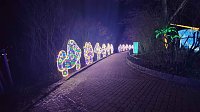 Bild: Peter Blei unterwegs in magischen Lichterwelten