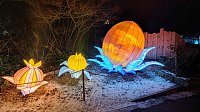 Bild: Peter Blei unterwegs in magischen Lichterwelten