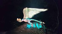 Bild: Peter Blei unterwegs in magischen Lichterwelten