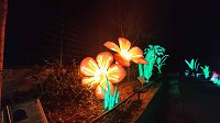 Bild: Peter Blei unterwegs in magischen Lichterwelten