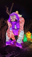 Bild: Peter Blei unterwegs in magischen Lichterwelten