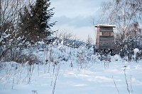 Bild: Wunderbare Winterlandschaft bei Benneckenstein