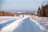 Bild: Wunderbare Winterlandschaft bei Benneckenstein