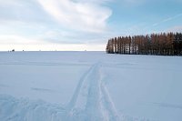 Bild: Wunderbare Winterlandschaft bei Benneckenstein