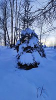 Bild: Wunderbare Winterlandschaft bei Benneckenstein