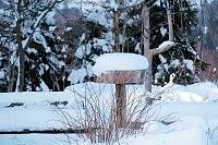 Bild: Wunderbare Winterlandschaft bei Benneckenstein