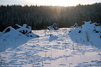 Bild: Wunderbare Winterlandschaft bei Benneckenstein
