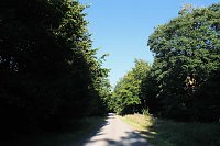 Bild: Peter Blei beim Waldspaziergang