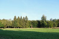 Bild: Peter Blei beim Waldspaziergang